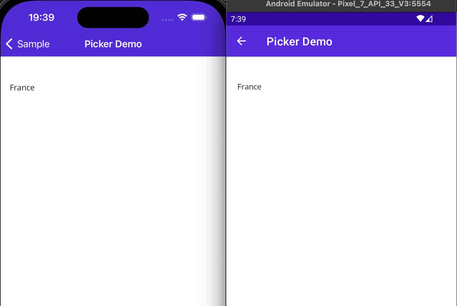 Display PickerPage without Default Style for Picker